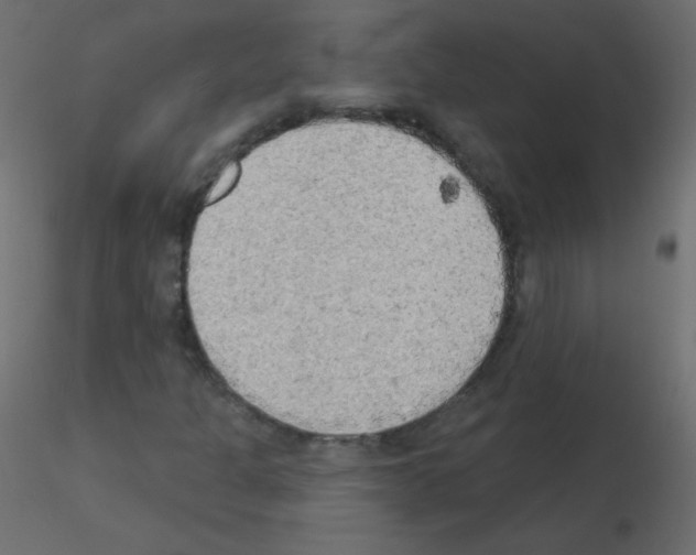 X0000115851301200912242029