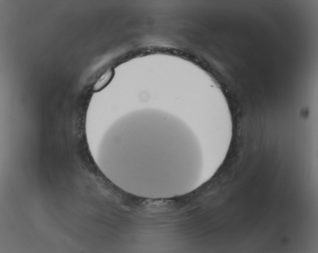 X0000115851303200912242029