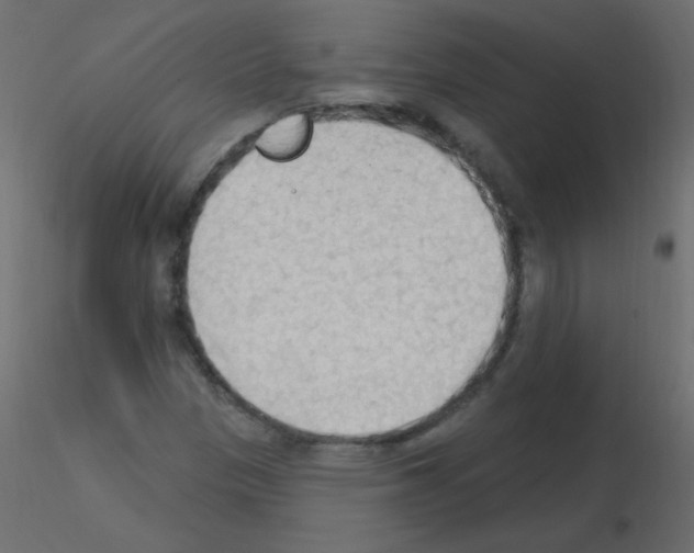 X0000115851305200912242029