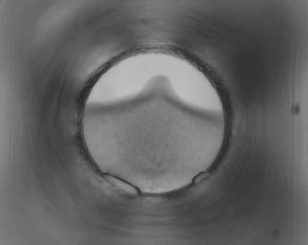 X0000115851306200912242029