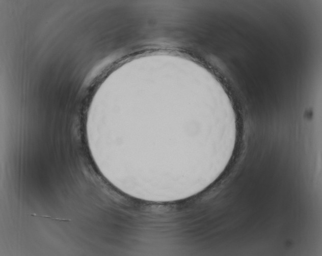 X0000115851307200912242029