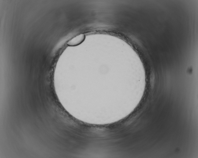 X0000115851309200912242029