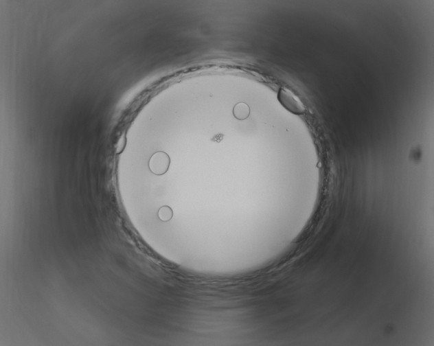 X0000115851310200912242029