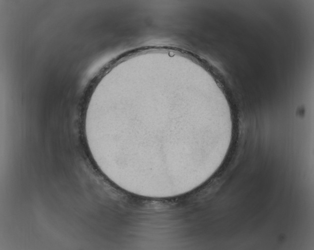 X0000115851311200912242029