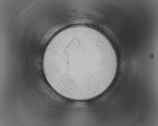 X0000115851313200912242029