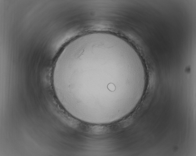 X0000115851314200912242029