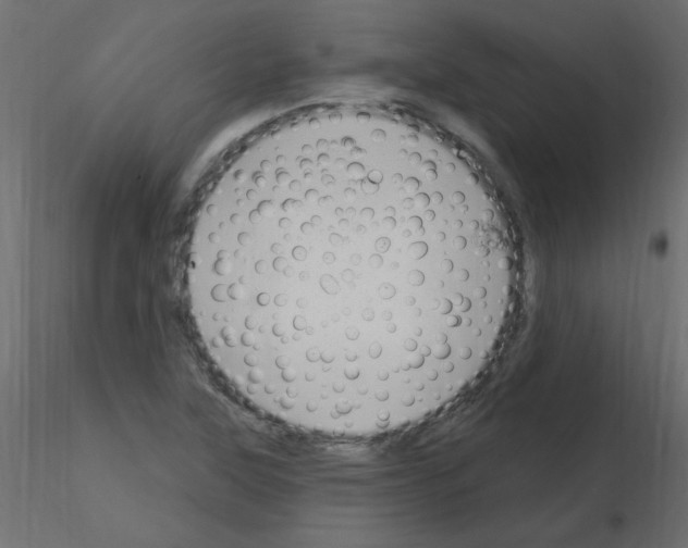X0000115851315200912242029