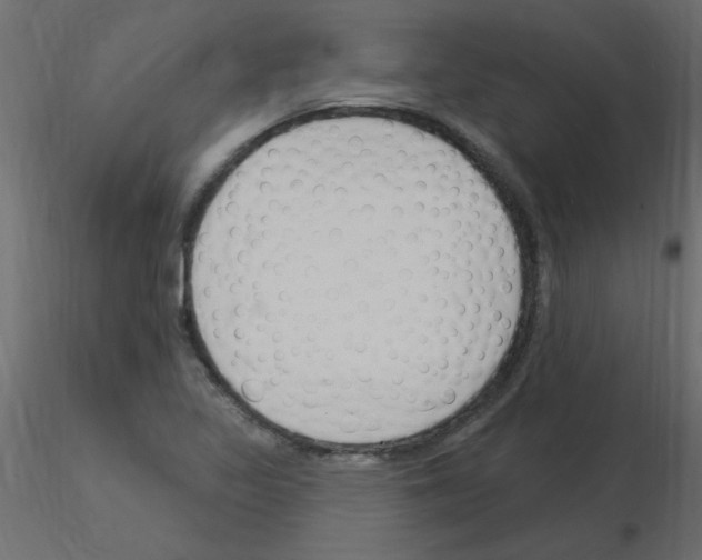 X0000115851317200912242029