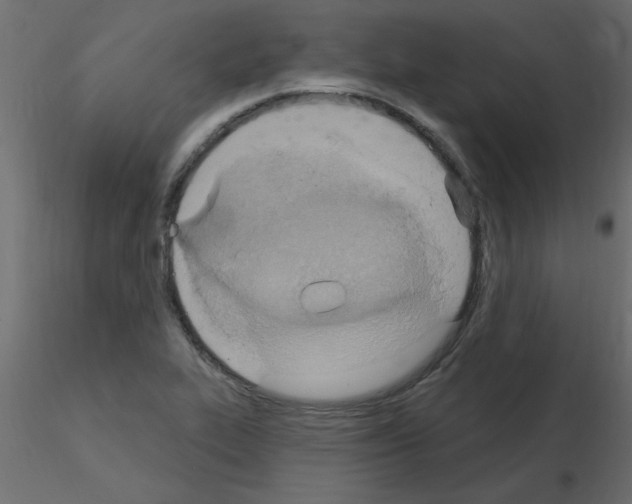 X0000115851319200912242029