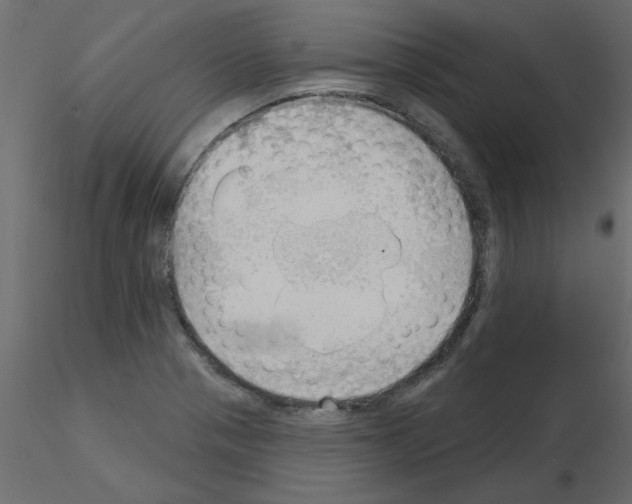 X0000115851321200912242029