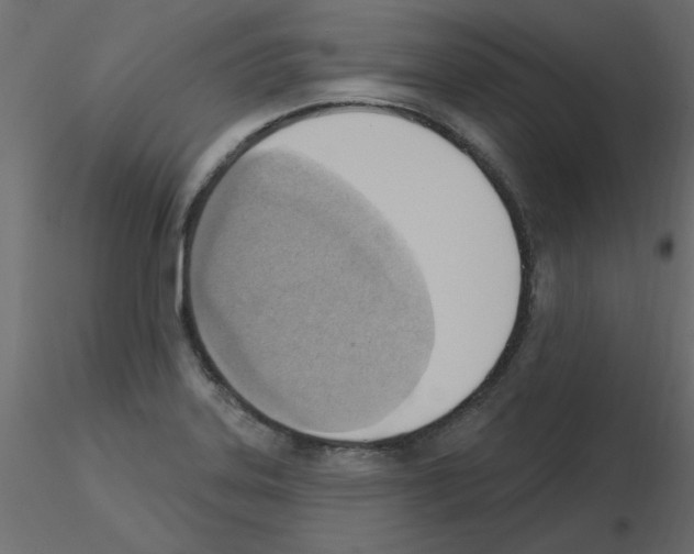 X0000115851323200912242029