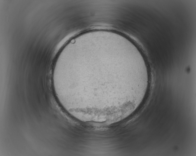 X0000115851325200912242029