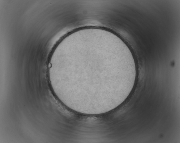 X0000115851326200912242029