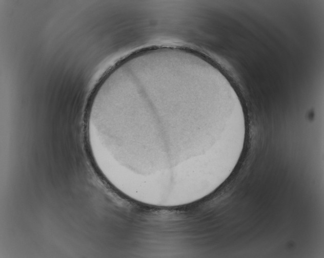 X0000115851327200912242029