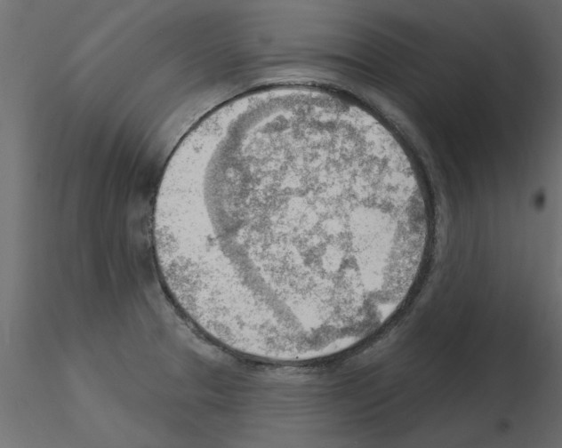 X0000115851329200912242029