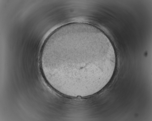 X0000115851331200912242029