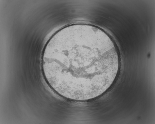 X0000115851333200912242030