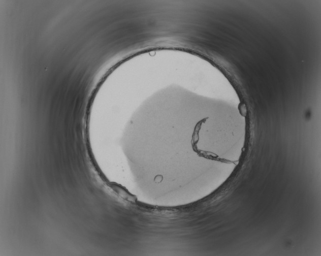 X0000115851334200912242030