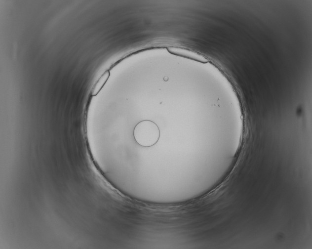 X0000115851342200912242030