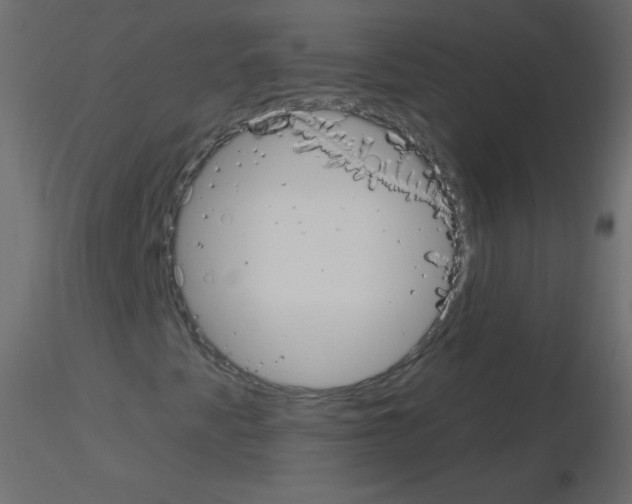 X0000115851345200912242029