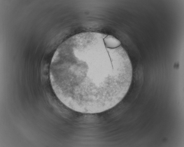 X0000115851346200912242029