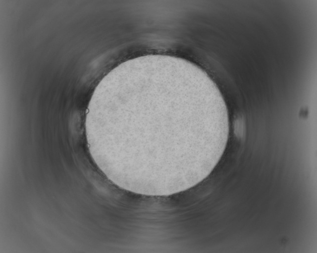 X0000115851347200912242029