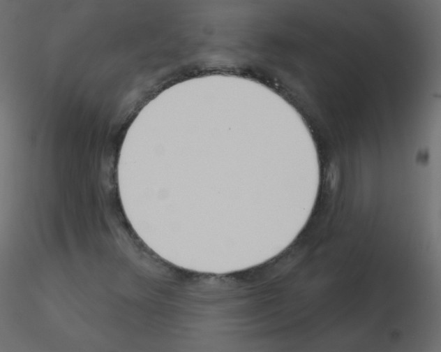 X0000115851348200912242029