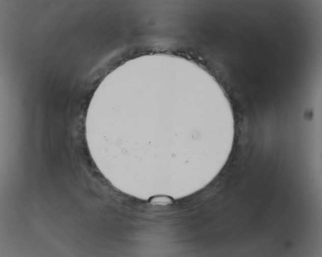 X0000115851349200912242029