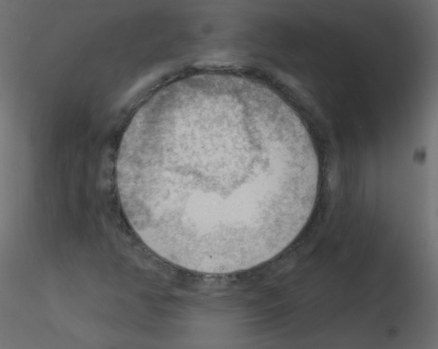 X0000115851350200912242029