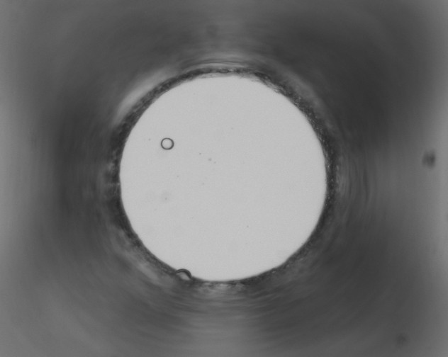 X0000115851352200912242029