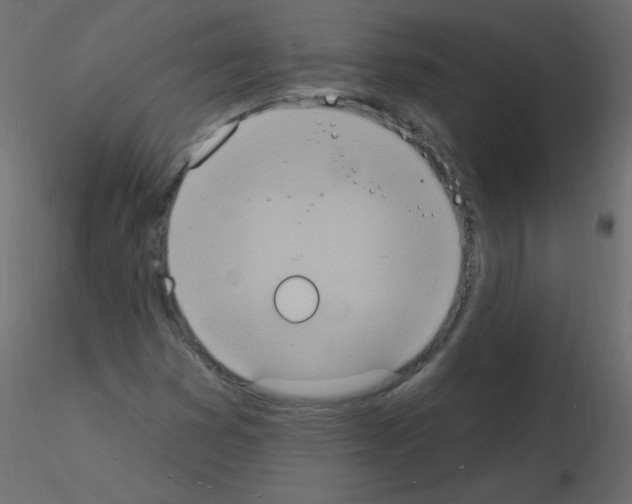 X0000115851353200912242029