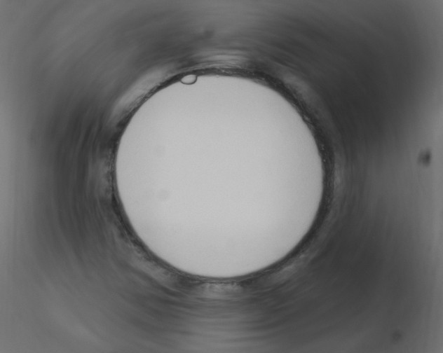 X0000115851354200912242029