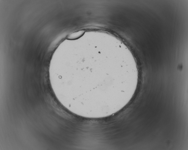 X0000115851355200912242029