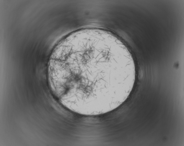 X0000115851356200912242029