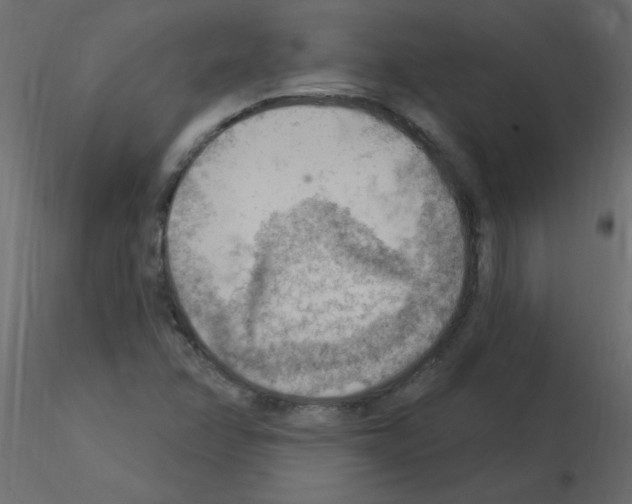 X0000115851358200912242029