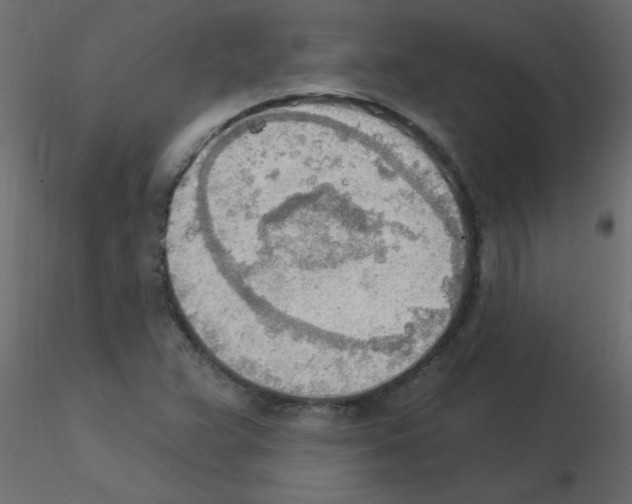 X0000115851359200912242029