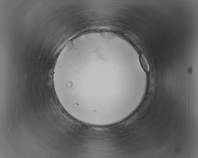 X0000115851361200912242029