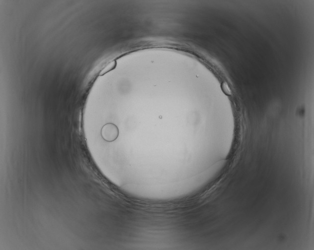 X0000115851365200912242029