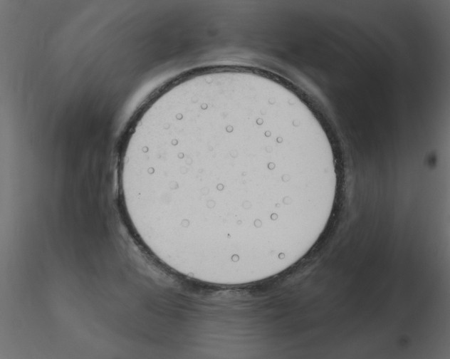 X0000115851368200912242029