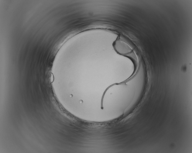 X0000115851369200912242029