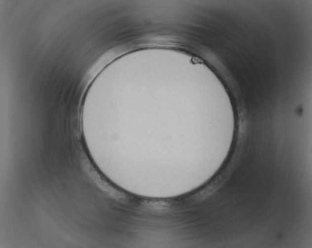X0000115851370200912242029