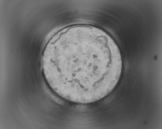 X0000115851371200912242029