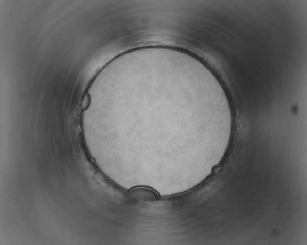 X0000115851373200912242029