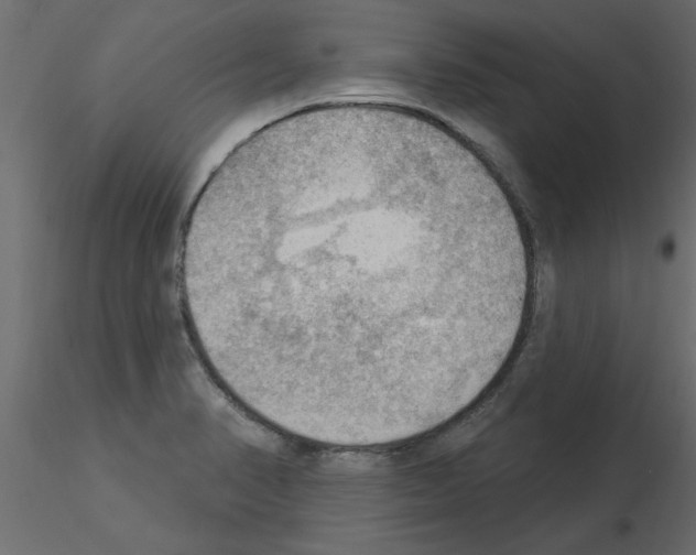 X0000115851374200912242029