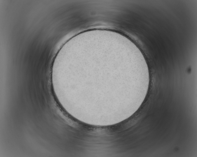 X0000115851375200912242029