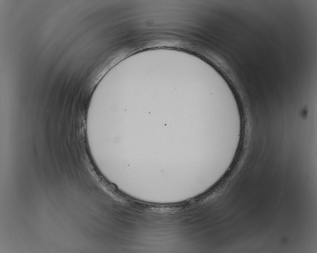 X0000115851377200912242029