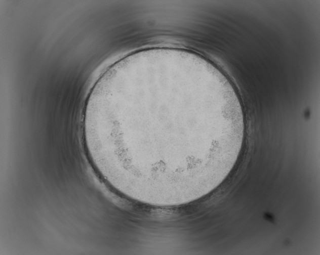 X0000115851379200912242029