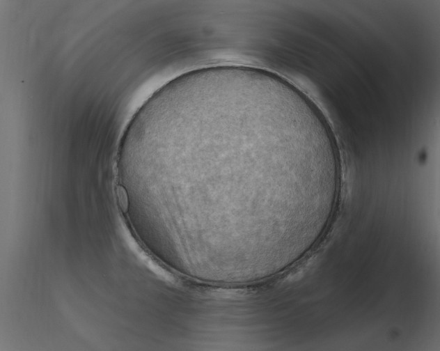 X0000115851381200912242029