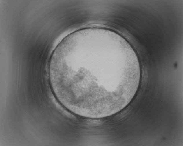 X0000115851382200912242029