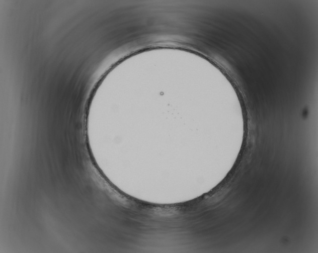 X0000115851384200912242028